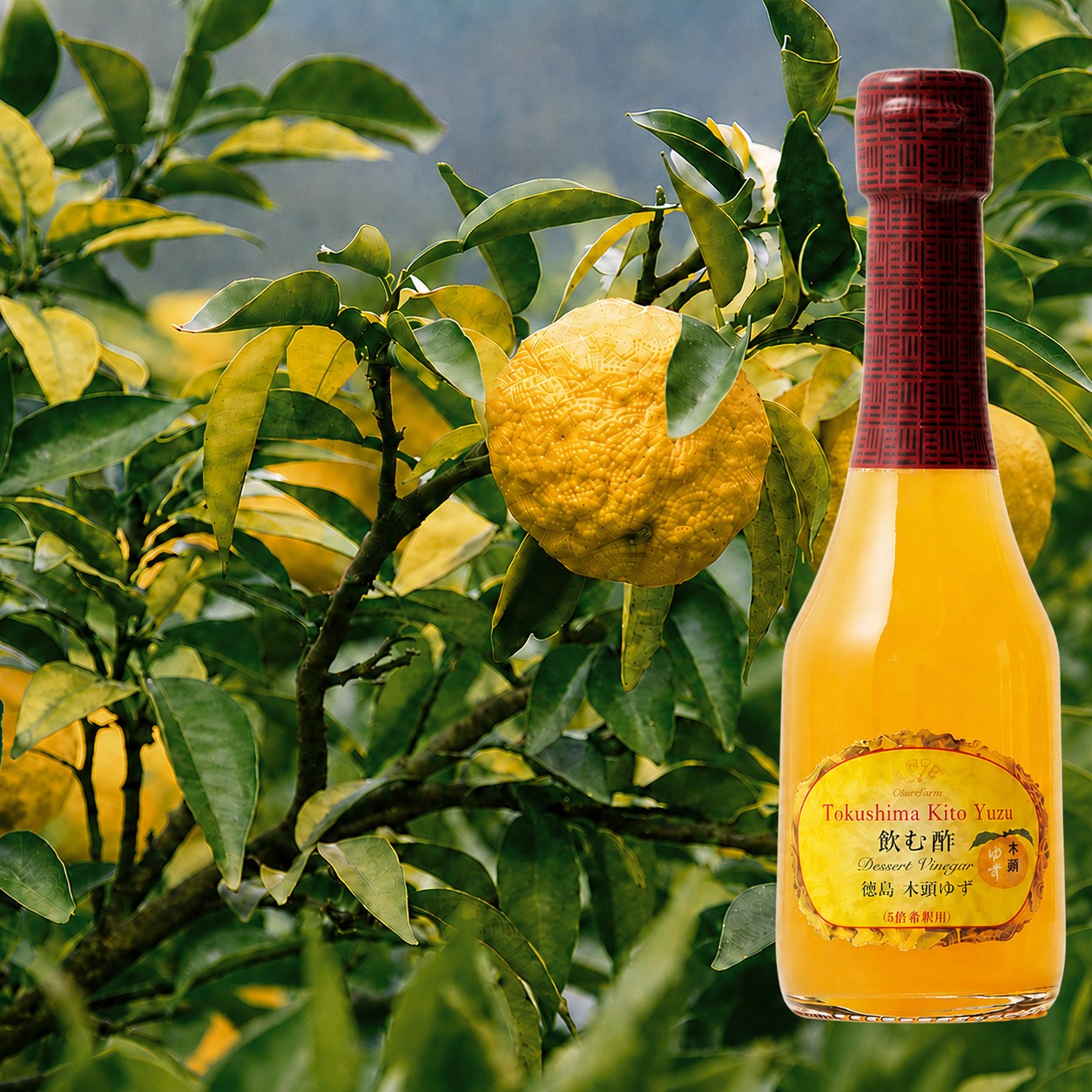 飲む酢・デザートビネガー・徳島 木頭ゆず