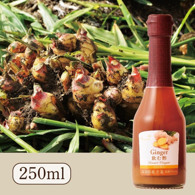 Su飲む酢・デザートビネガー・高知県産生姜(黒酢ベース)(250ml)