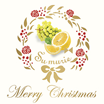 フルーツ＆レモンのクリスマスビネガー